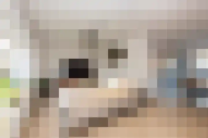 Pieter Bruegellaan 8 Berkel-Enschot thumbnail 12