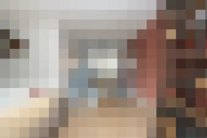 Pieter Bruegellaan 8 Berkel-Enschot thumbnail 13