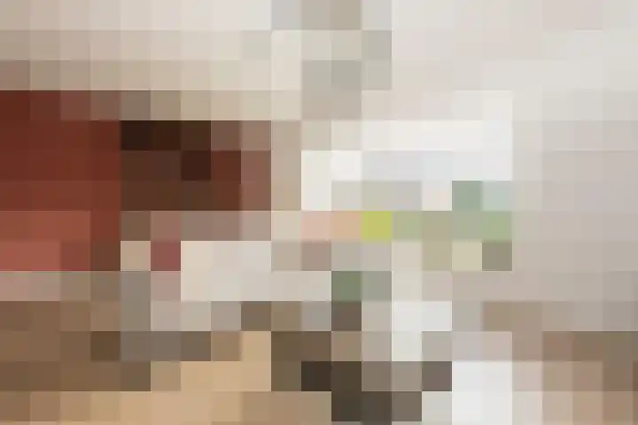 Pieter Bruegellaan 8 Berkel-Enschot thumbnail 14