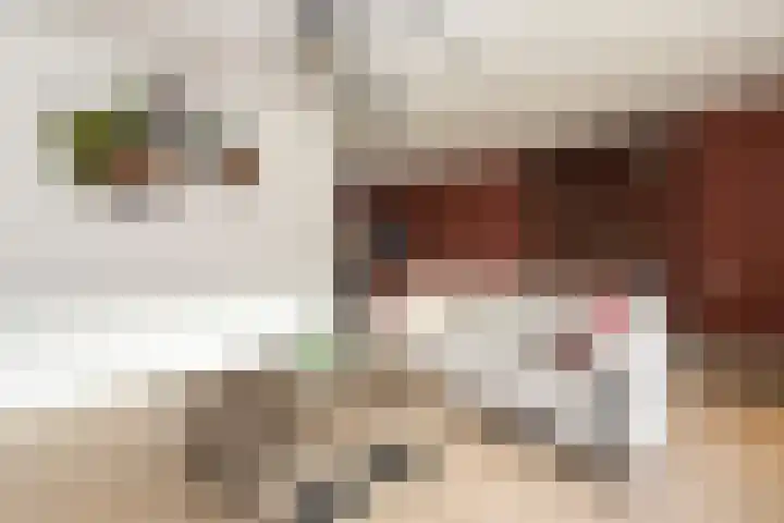 Pieter Bruegellaan 8 Berkel-Enschot thumbnail 15