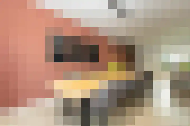 Pieter Bruegellaan 8 Berkel-Enschot thumbnail 16