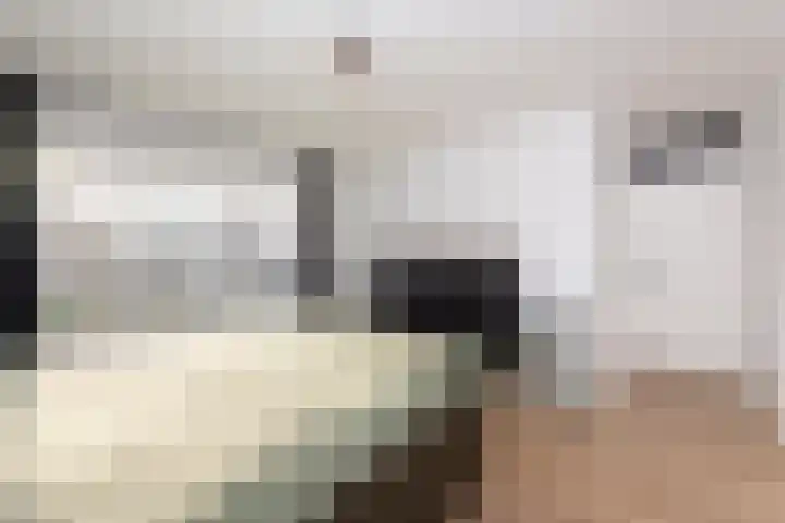 Pieter Bruegellaan 8 Berkel-Enschot thumbnail 23