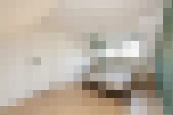 Pieter Bruegellaan 8 Berkel-Enschot thumbnail 36