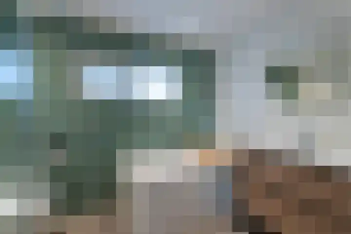 Pieter Bruegellaan 8 Berkel-Enschot thumbnail 4