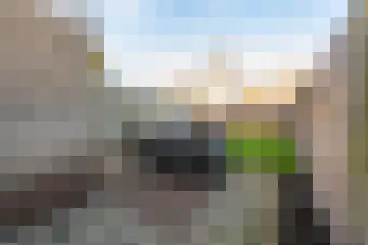 Pieter Bruegellaan 8 Berkel-Enschot thumbnail 5