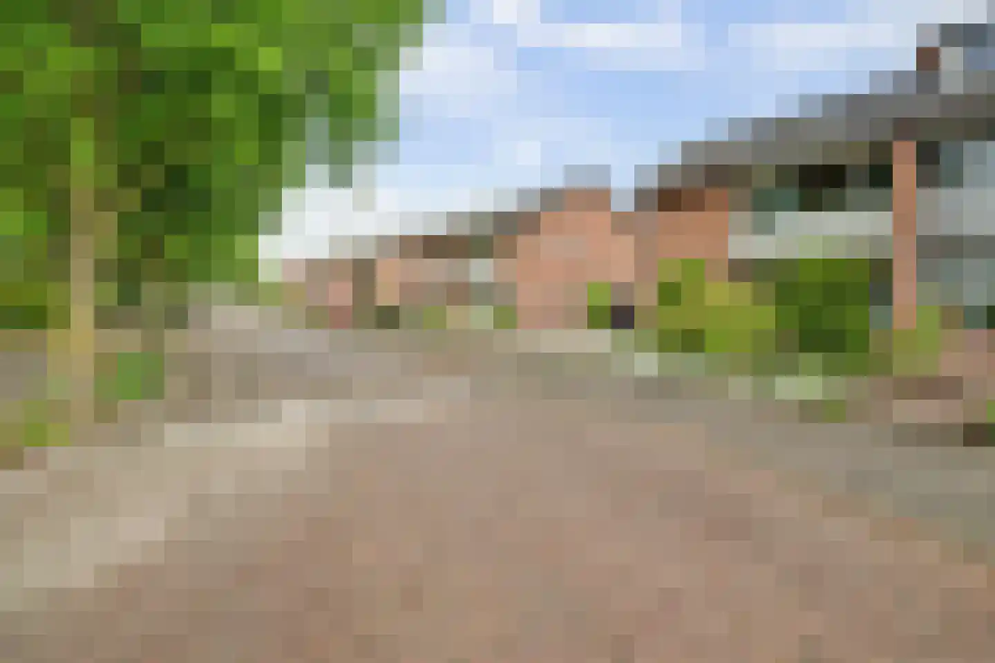 Pieter Bruegelstraat 39 Vlijmen thumbnail 39