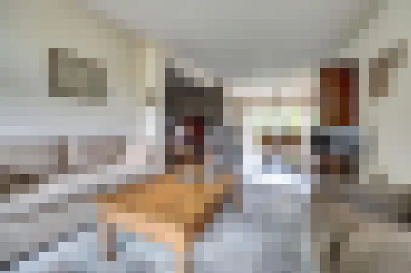 Pieter Bruegelstraat 39 Vlijmen thumbnail 4