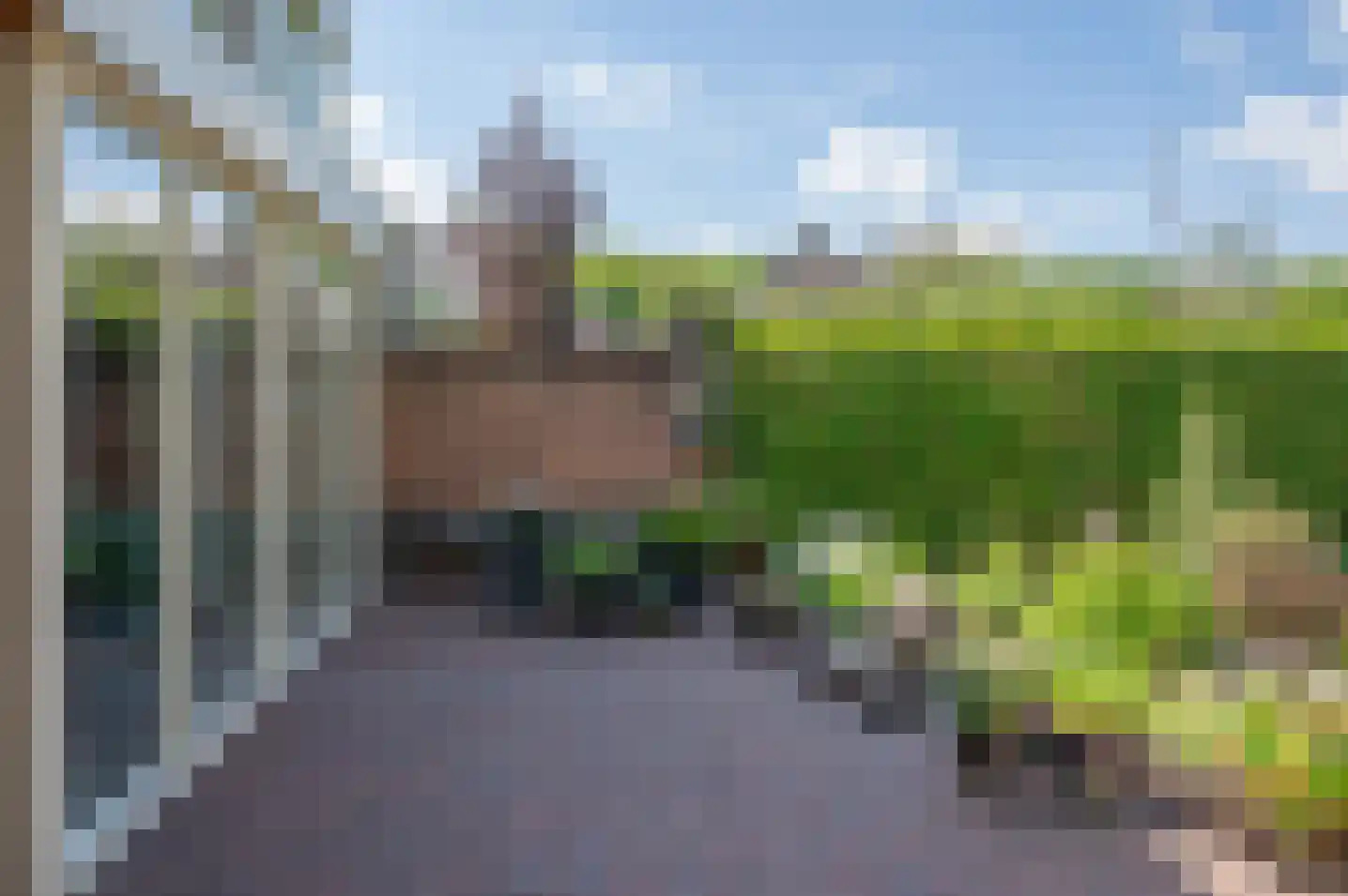 Pieter Bruegelstraat 4 Zelhem thumbnail 39