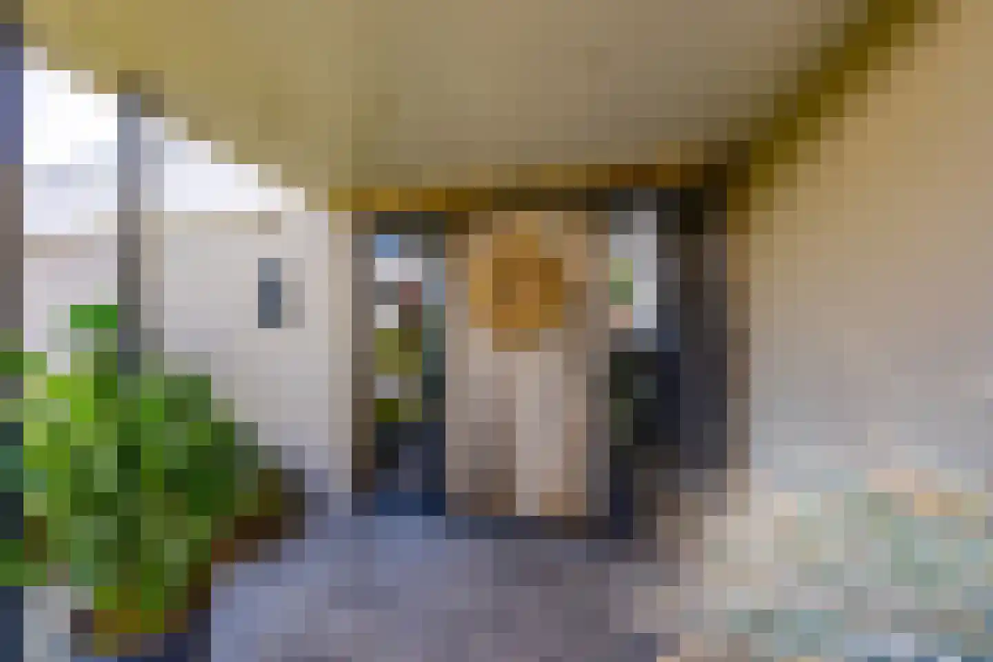 Pieter Bruegelstraat 8 Vlijmen thumbnail 16