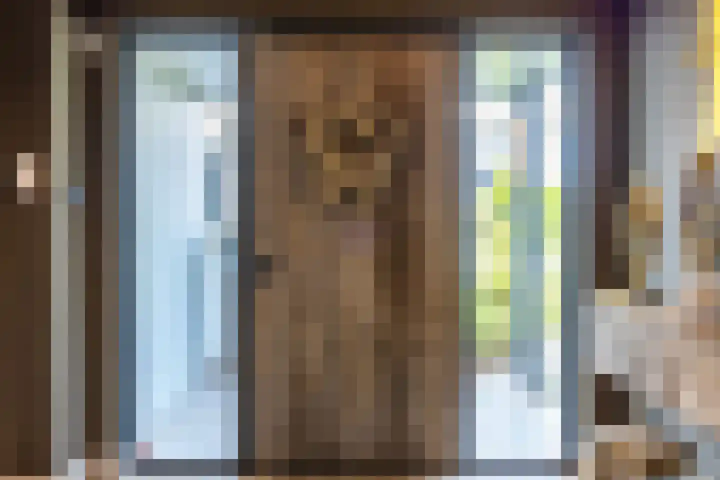 Pieter Bruegelstraat 8 Vlijmen thumbnail 17