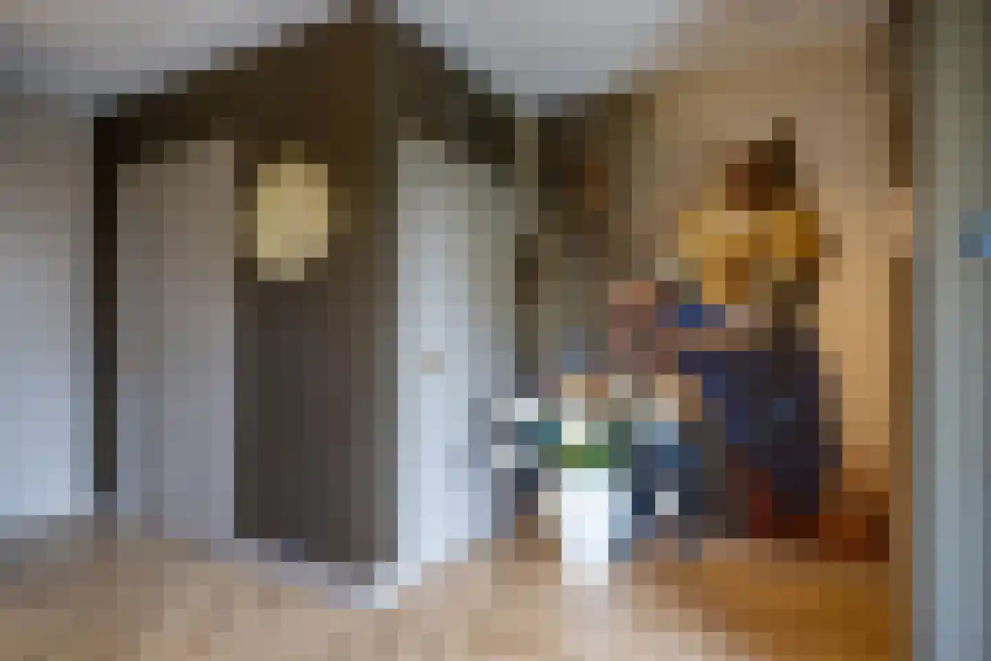 Pieter Bruegelstraat 8 Vlijmen thumbnail 20