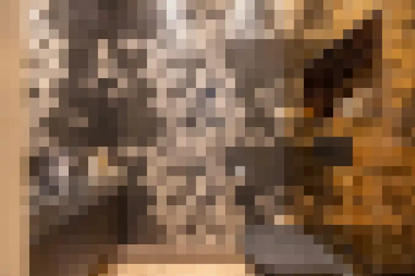 Pieter Bruegelstraat 8 Vlijmen thumbnail 21