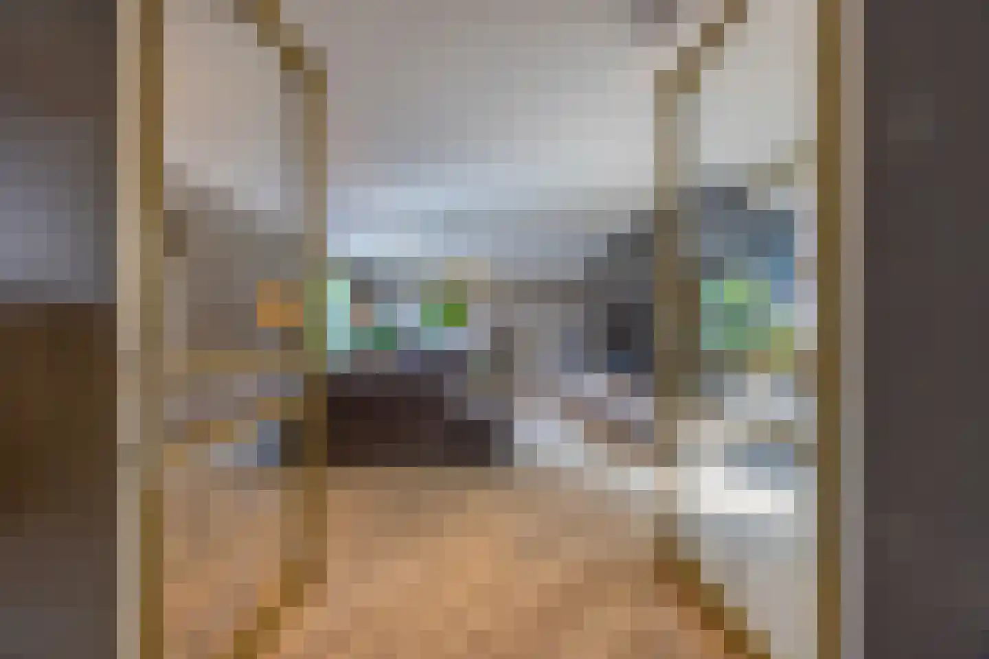 Pieter Bruegelstraat 8 Vlijmen thumbnail 22