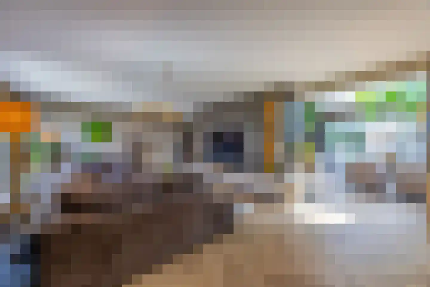 Pieter Bruegelstraat 8 Vlijmen thumbnail 23