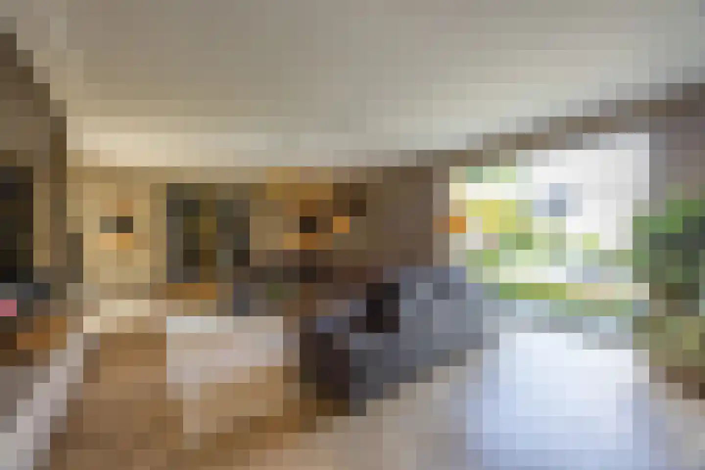 Pieter Bruegelstraat 8 Vlijmen thumbnail 24