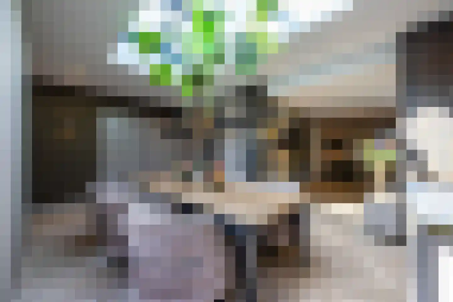 Pieter Bruegelstraat 8 Vlijmen thumbnail 26