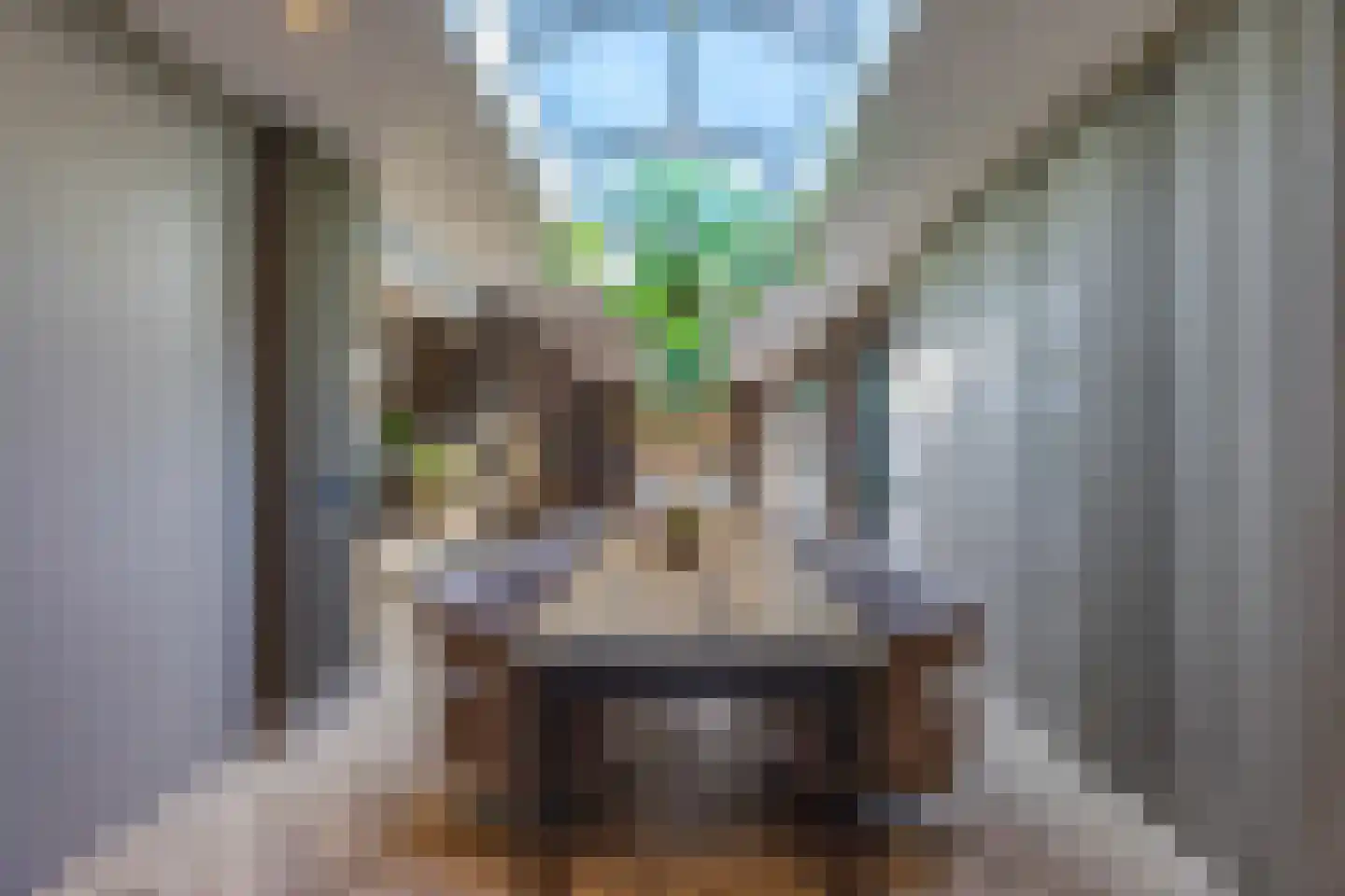 Pieter Bruegelstraat 8 Vlijmen thumbnail 27