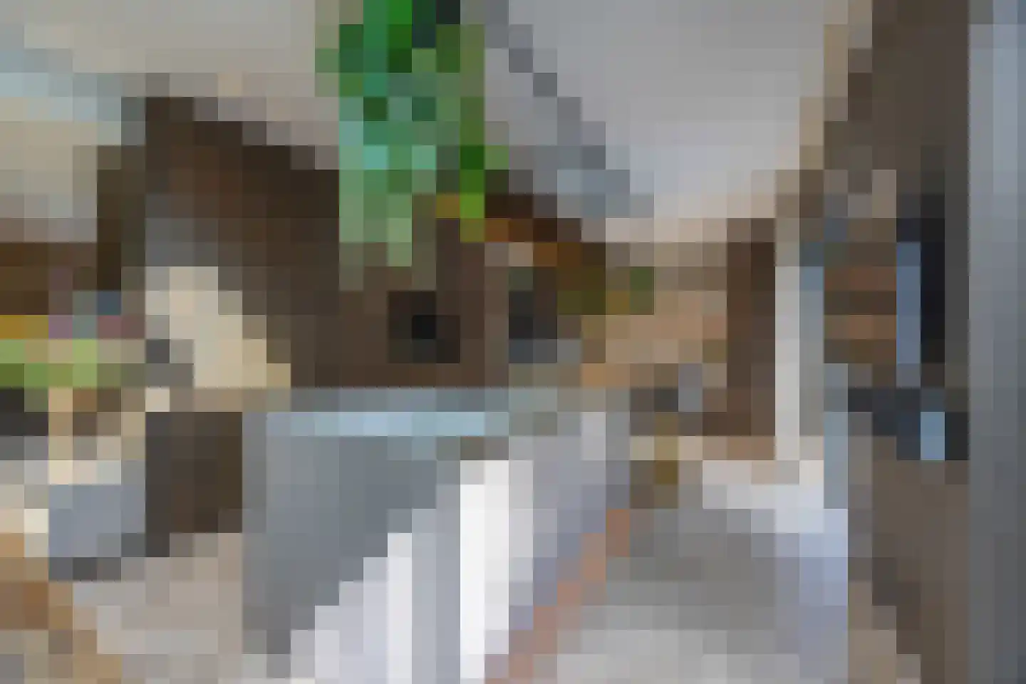 Pieter Bruegelstraat 8 Vlijmen thumbnail 28