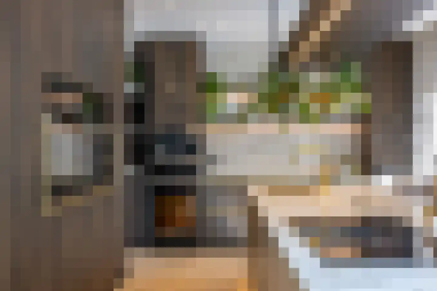 Pieter Bruegelstraat 8 Vlijmen thumbnail 29