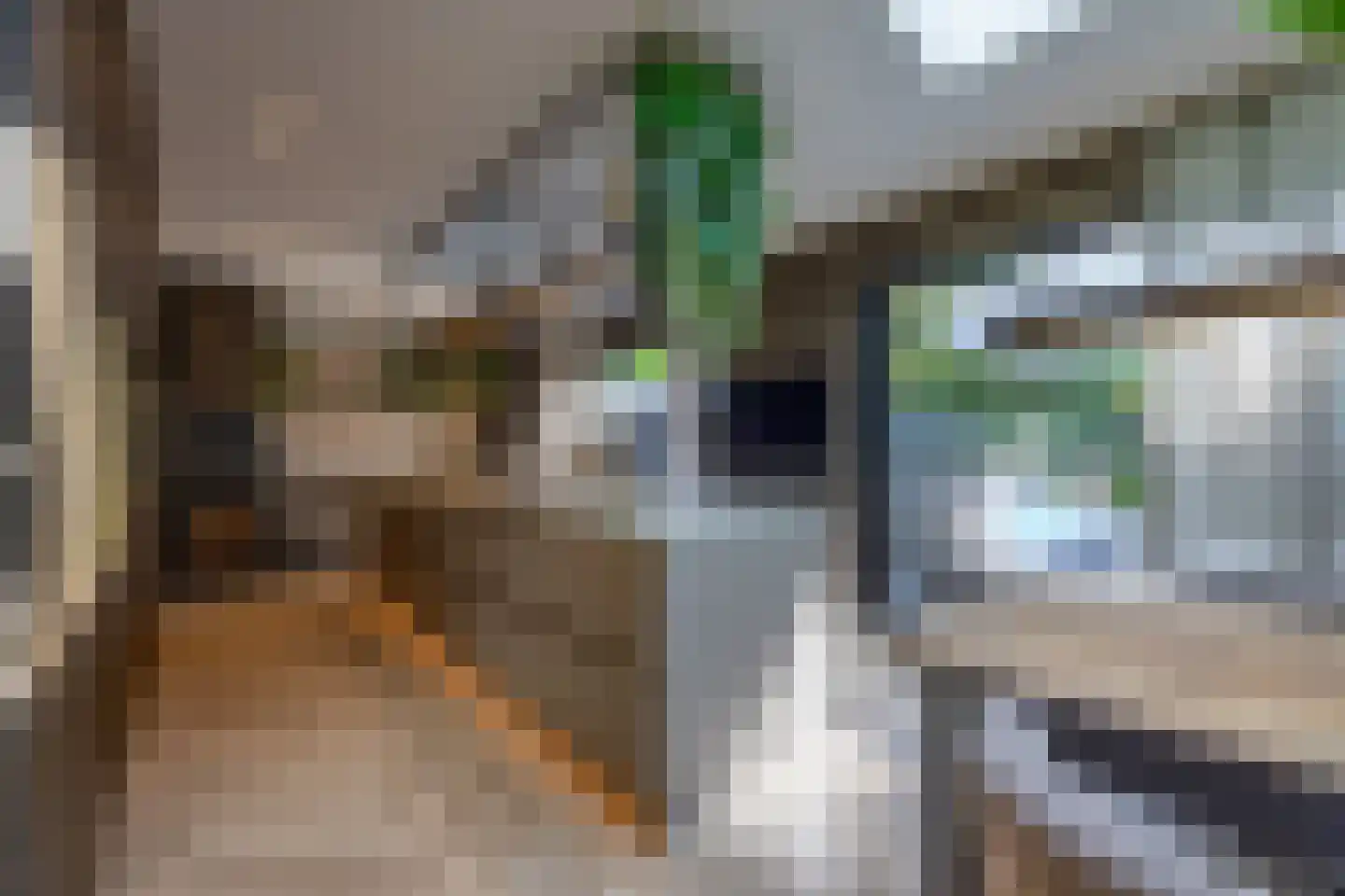 Pieter Bruegelstraat 8 Vlijmen thumbnail 30