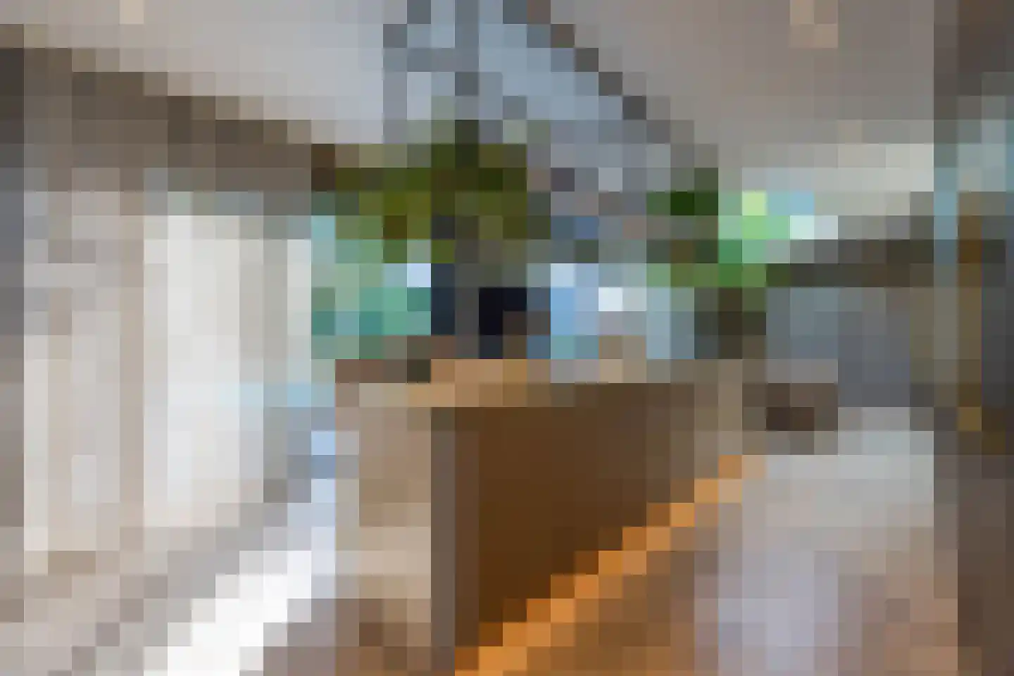 Pieter Bruegelstraat 8 Vlijmen thumbnail 31
