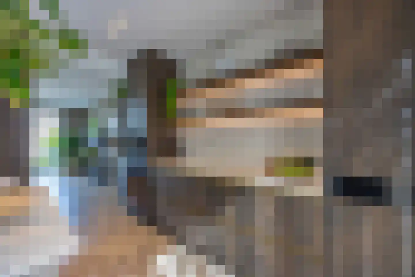 Pieter Bruegelstraat 8 Vlijmen thumbnail 32