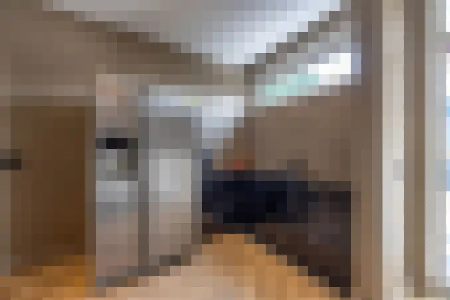 Pieter Bruegelstraat 8 Vlijmen thumbnail 39