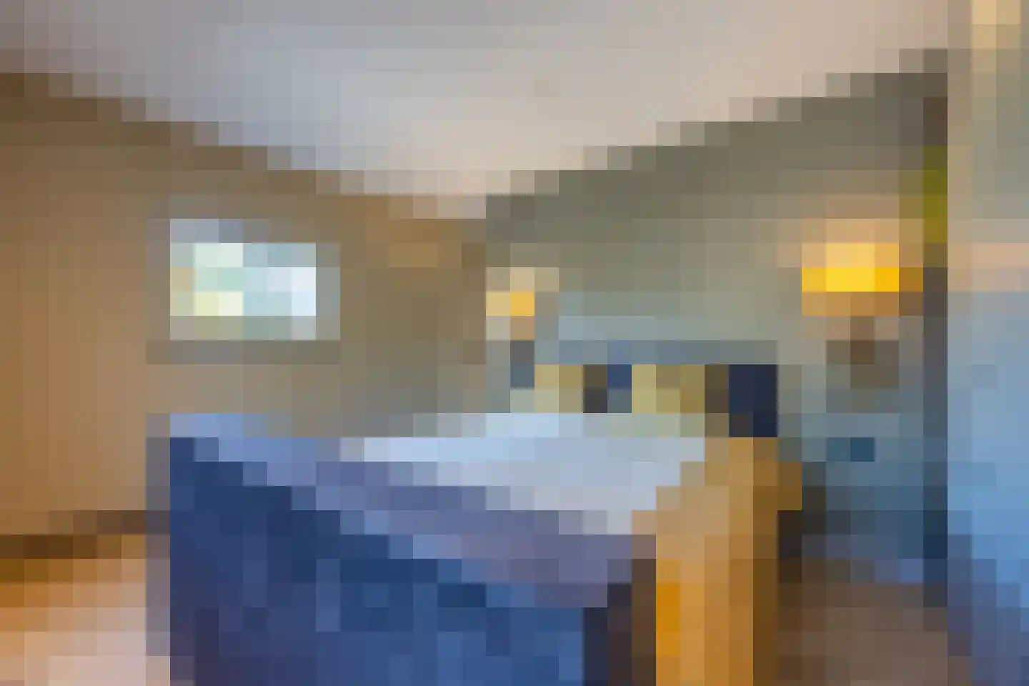 Pieter Bruegelstraat 8 Vlijmen thumbnail 42
