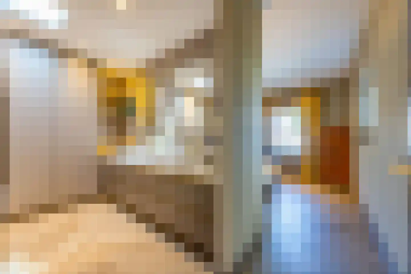 Pieter Bruegelstraat 8 Vlijmen thumbnail 43