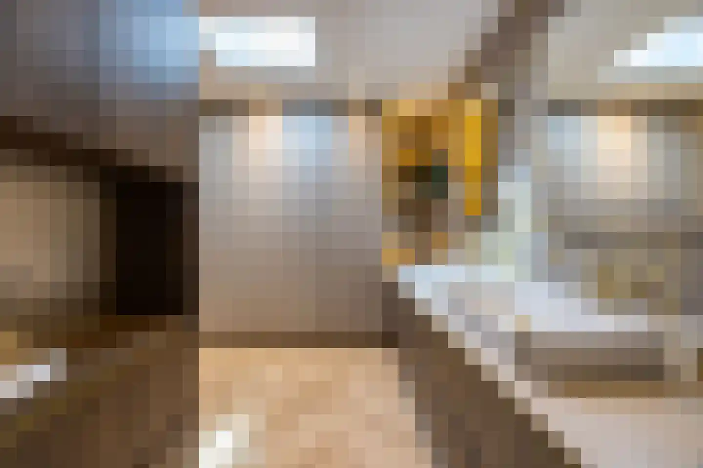 Pieter Bruegelstraat 8 Vlijmen thumbnail 44