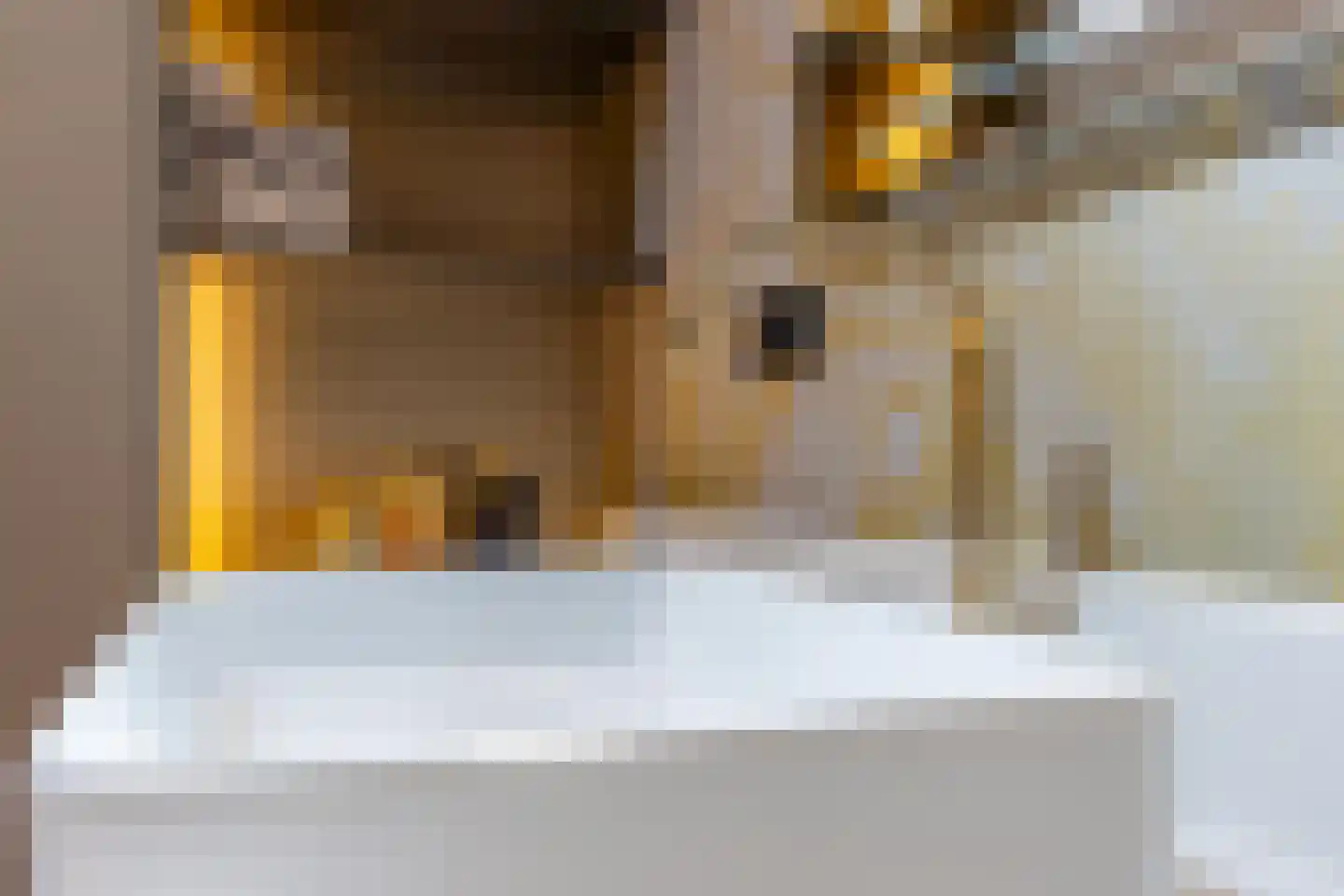 Pieter Bruegelstraat 8 Vlijmen thumbnail 46
