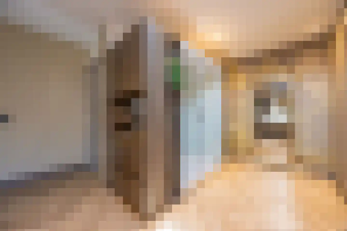 Pieter Bruegelstraat 8 Vlijmen thumbnail 47