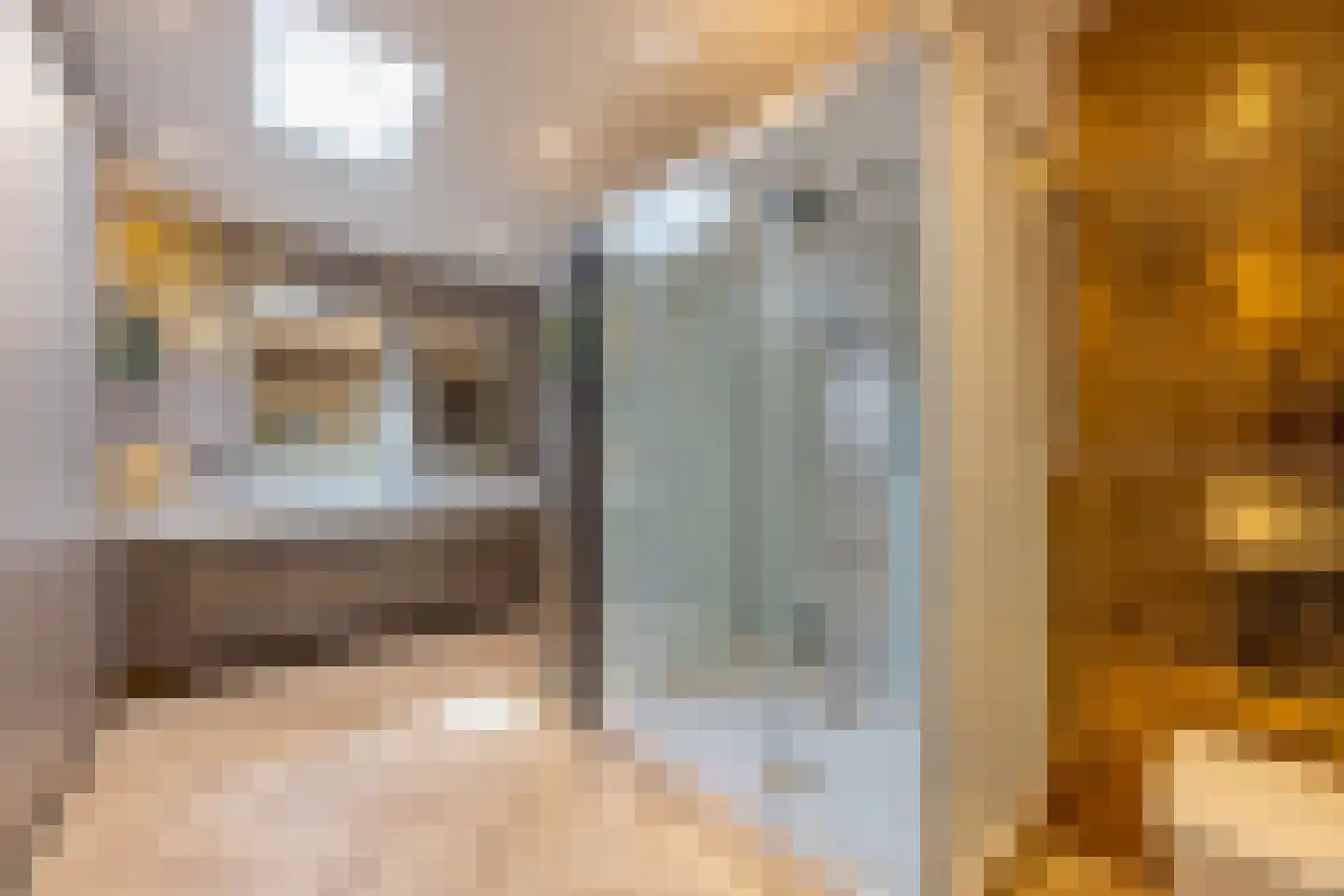 Pieter Bruegelstraat 8 Vlijmen thumbnail 48