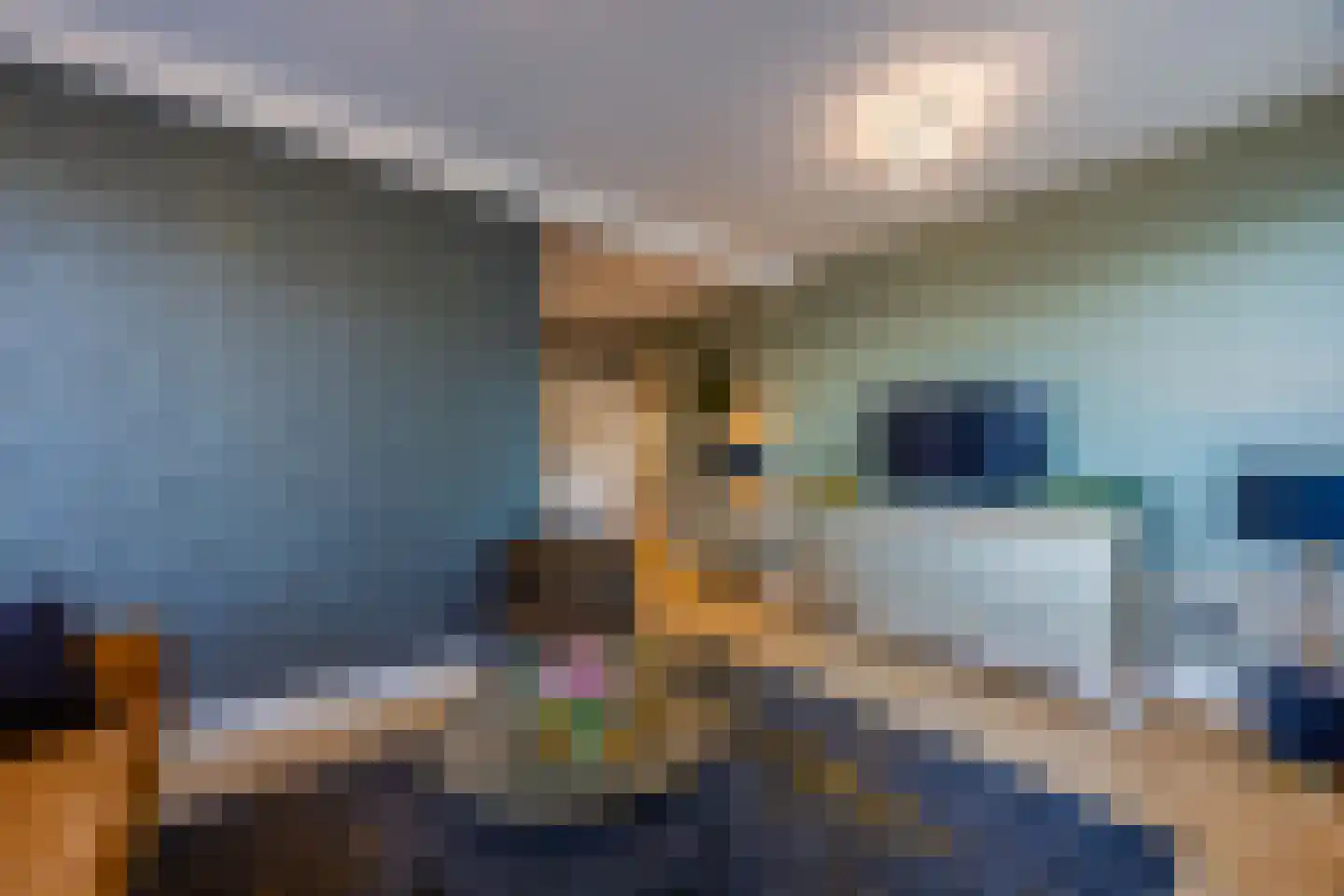 Pieter Bruegelstraat 8 Vlijmen thumbnail 62