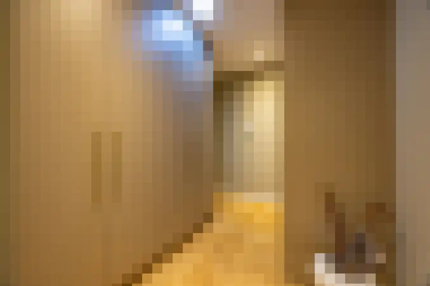 Pieter Bruegelstraat 8 Vlijmen thumbnail 63