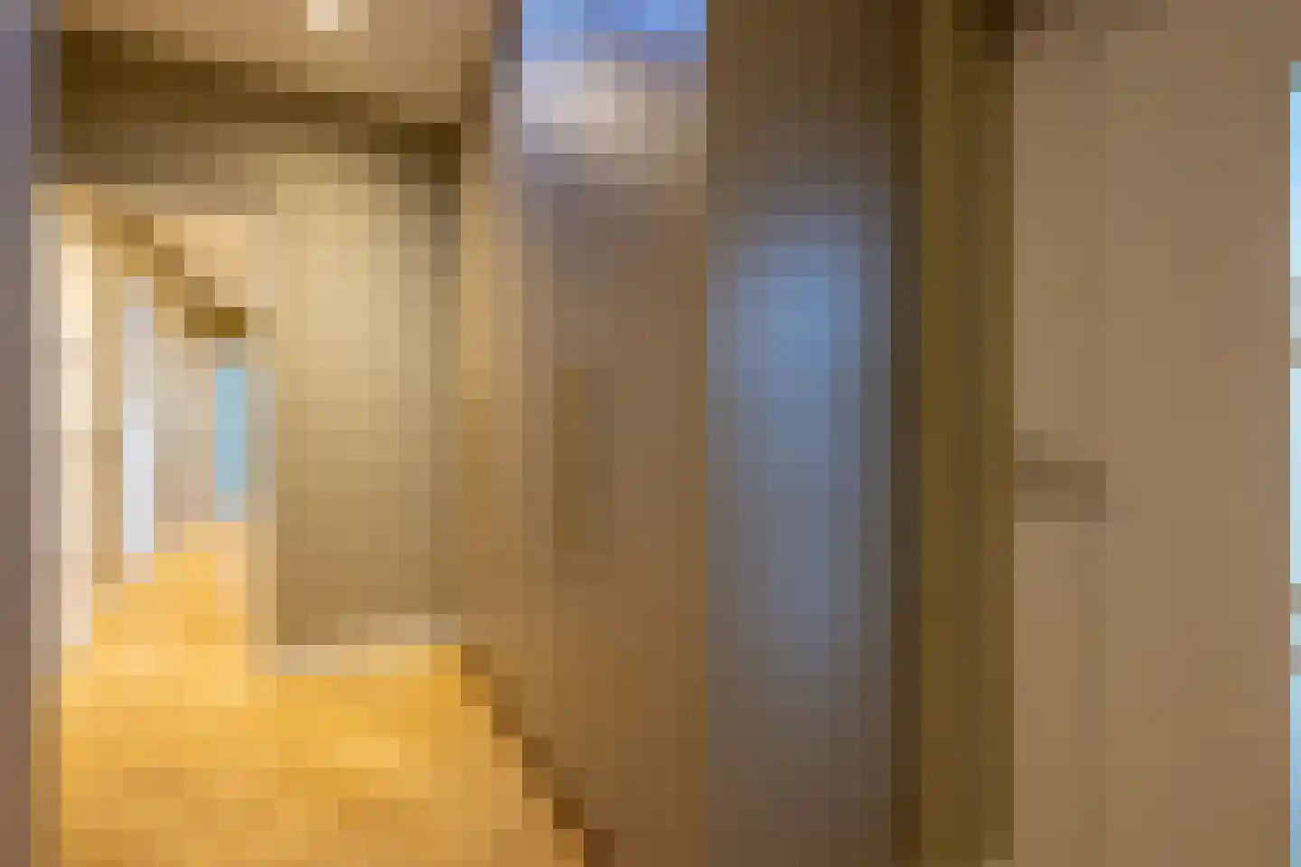 Pieter Bruegelstraat 8 Vlijmen thumbnail 64