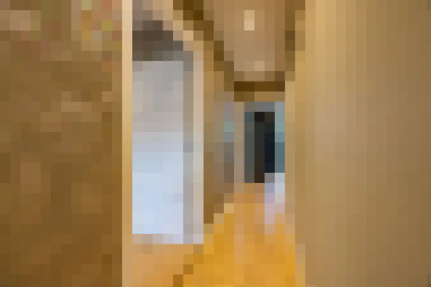 Pieter Bruegelstraat 8 Vlijmen thumbnail 65