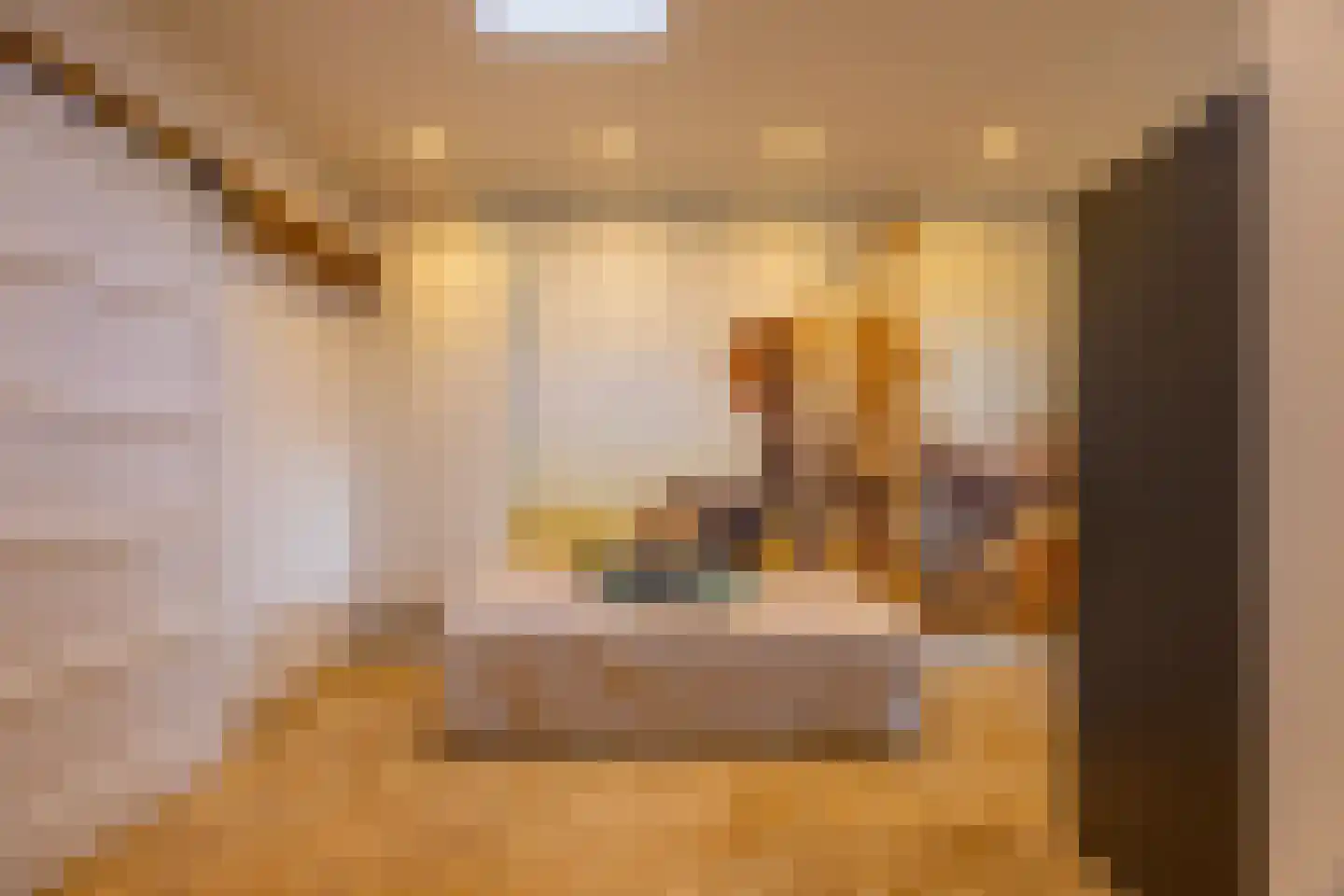 Pieter Bruegelstraat 8 Vlijmen thumbnail 67