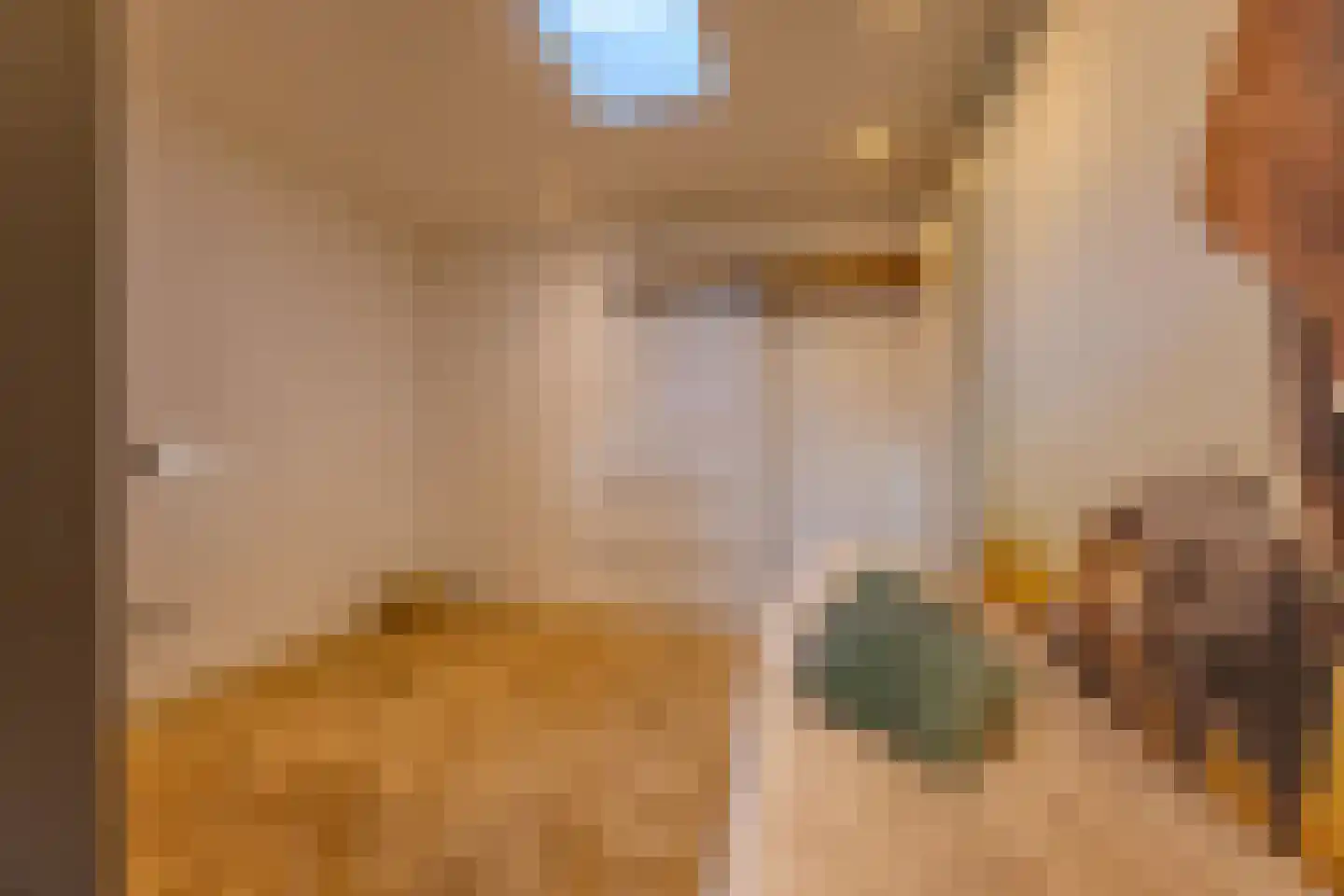 Pieter Bruegelstraat 8 Vlijmen thumbnail 69