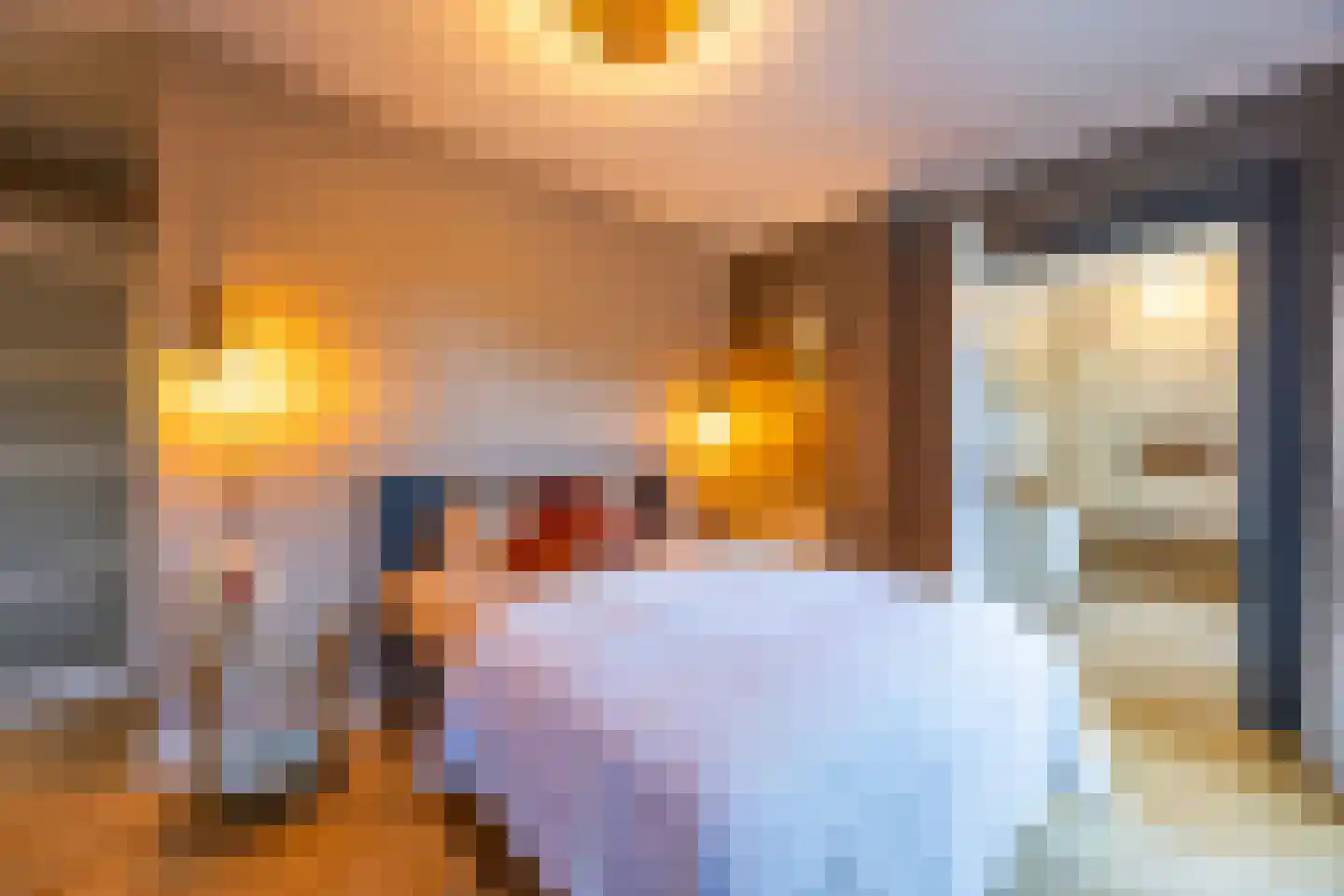 Pieter Bruegelstraat 8 Vlijmen thumbnail 71