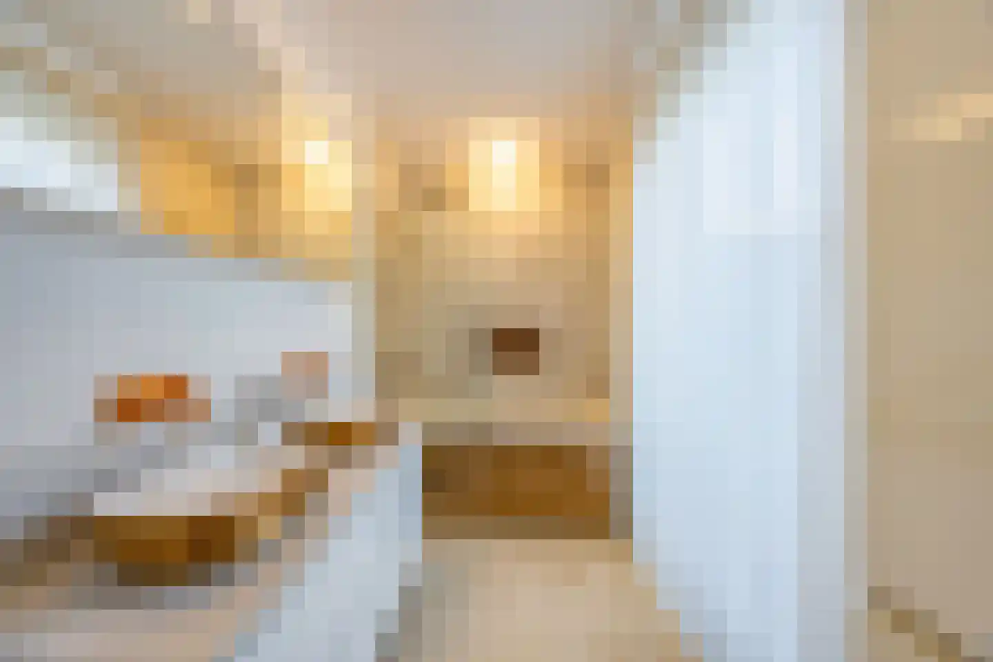 Pieter Bruegelstraat 8 Vlijmen thumbnail 72