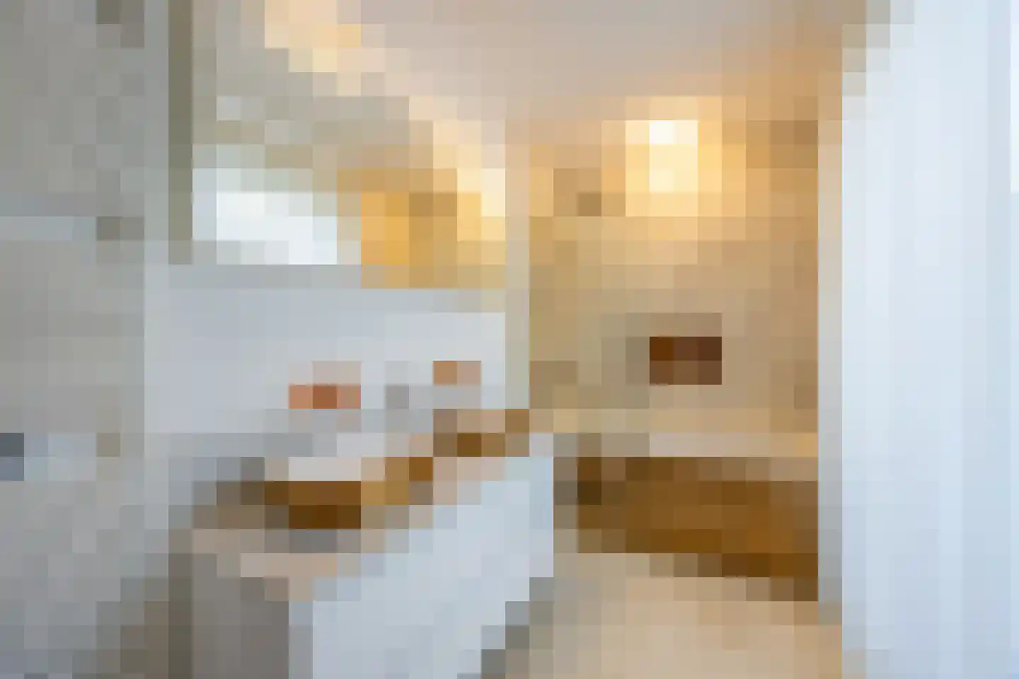 Pieter Bruegelstraat 8 Vlijmen thumbnail 73