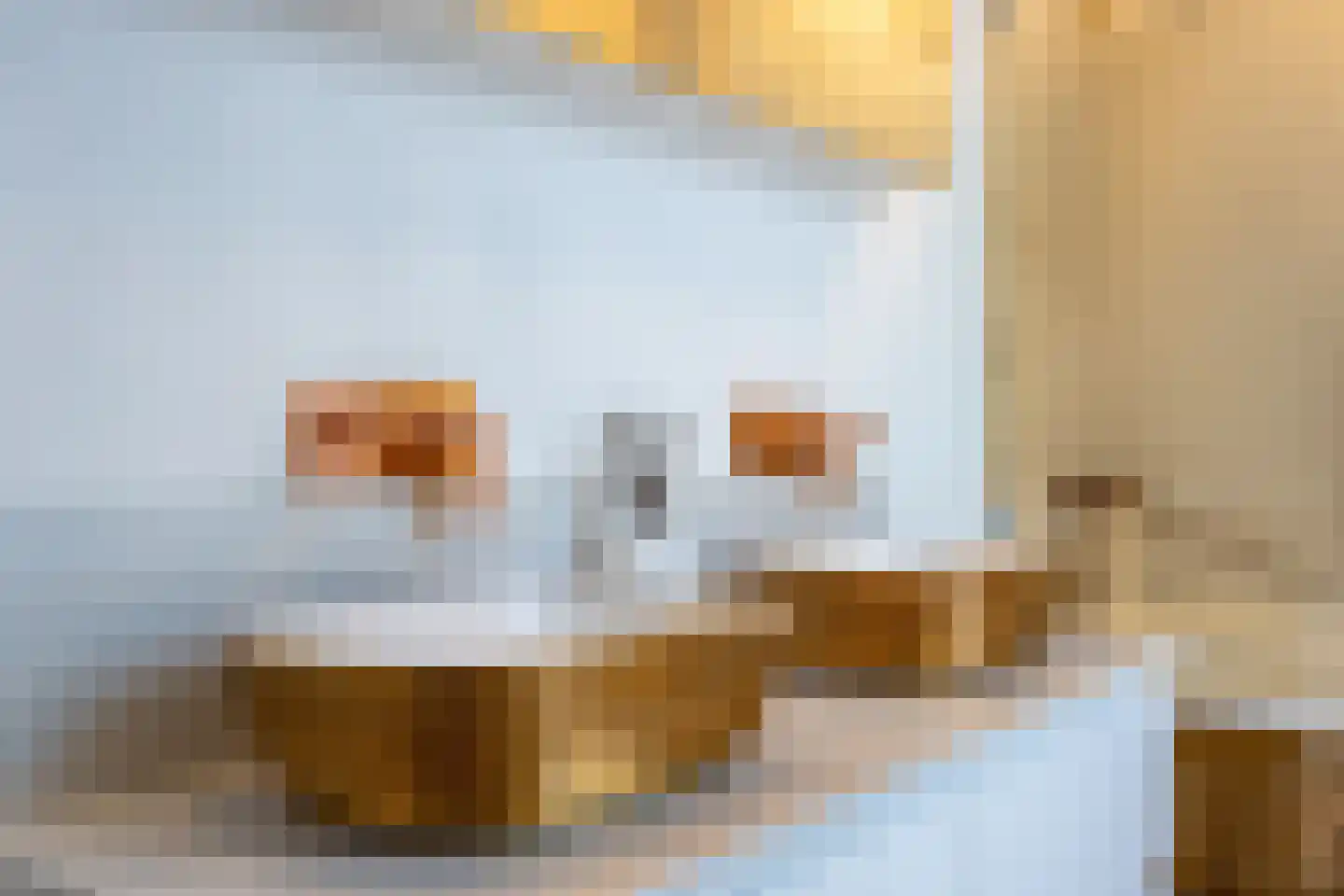 Pieter Bruegelstraat 8 Vlijmen thumbnail 74
