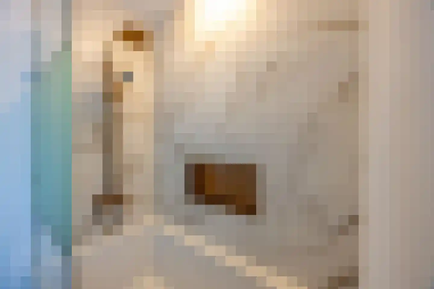 Pieter Bruegelstraat 8 Vlijmen thumbnail 75
