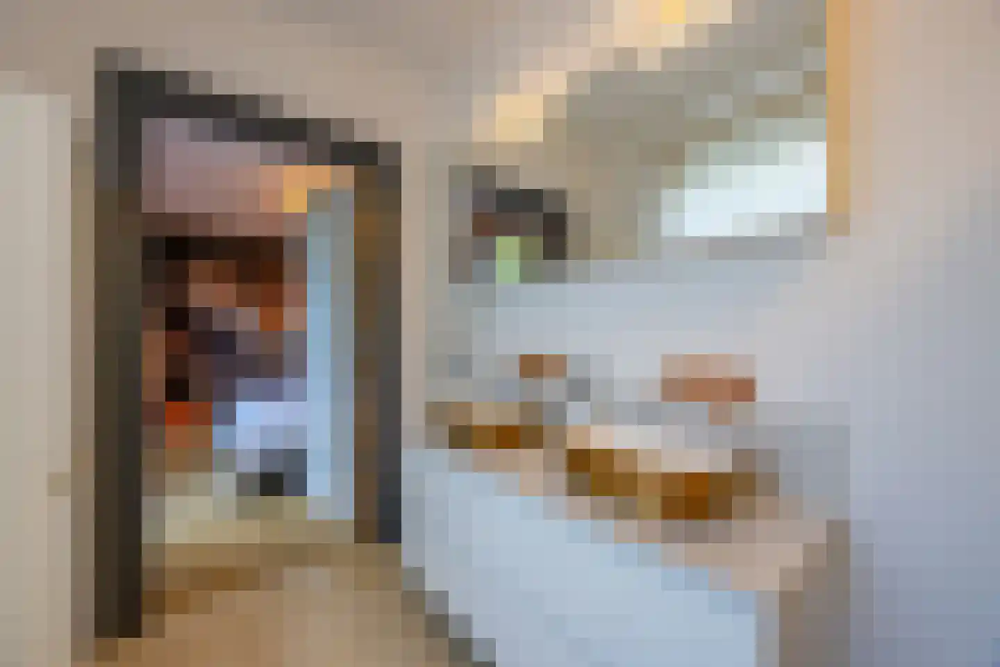 Pieter Bruegelstraat 8 Vlijmen thumbnail 76