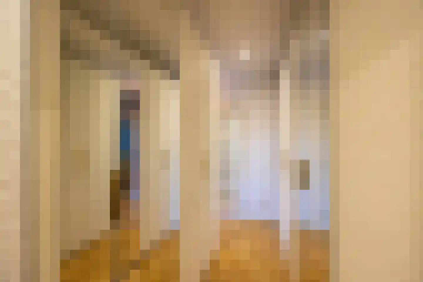 Pieter Bruegelstraat 8 Vlijmen thumbnail 77