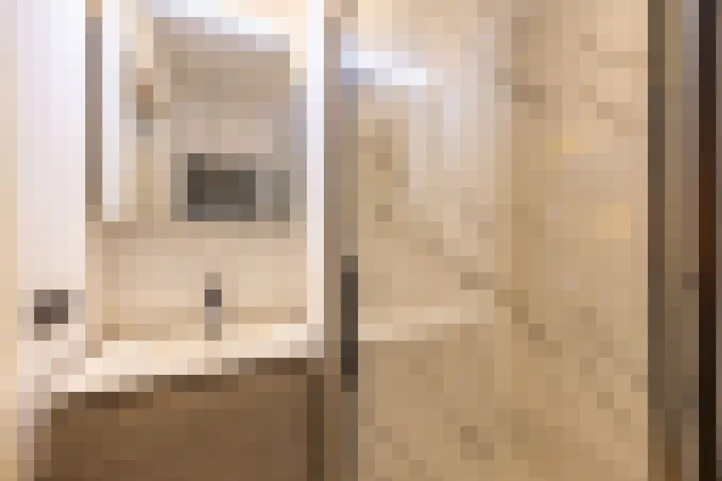 Pieter Bruegelstraat 8 Vlijmen thumbnail 82