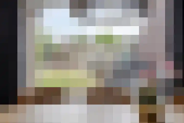 Pieter Bruegelstraat 9 Vlijmen thumbnail 10