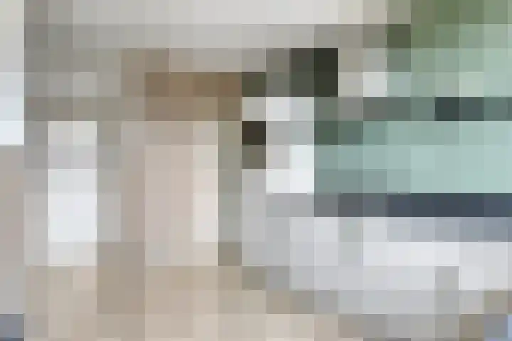 Pieter Bruegelstraat 9 Vlijmen thumbnail 12
