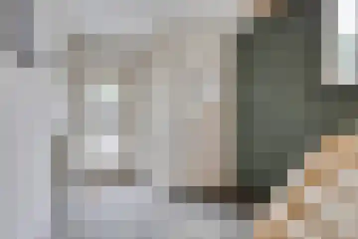 Pieter Bruegelstraat 9 Vlijmen thumbnail 14